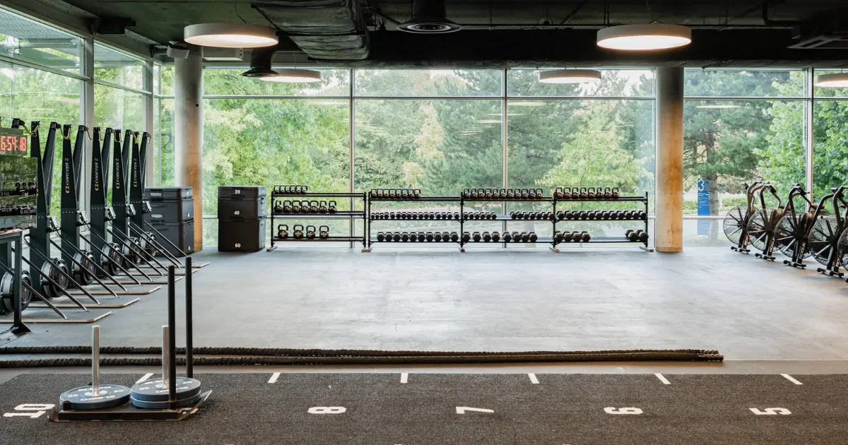 Push Day Workout: Best Exercises, Order, Sets, and Reps