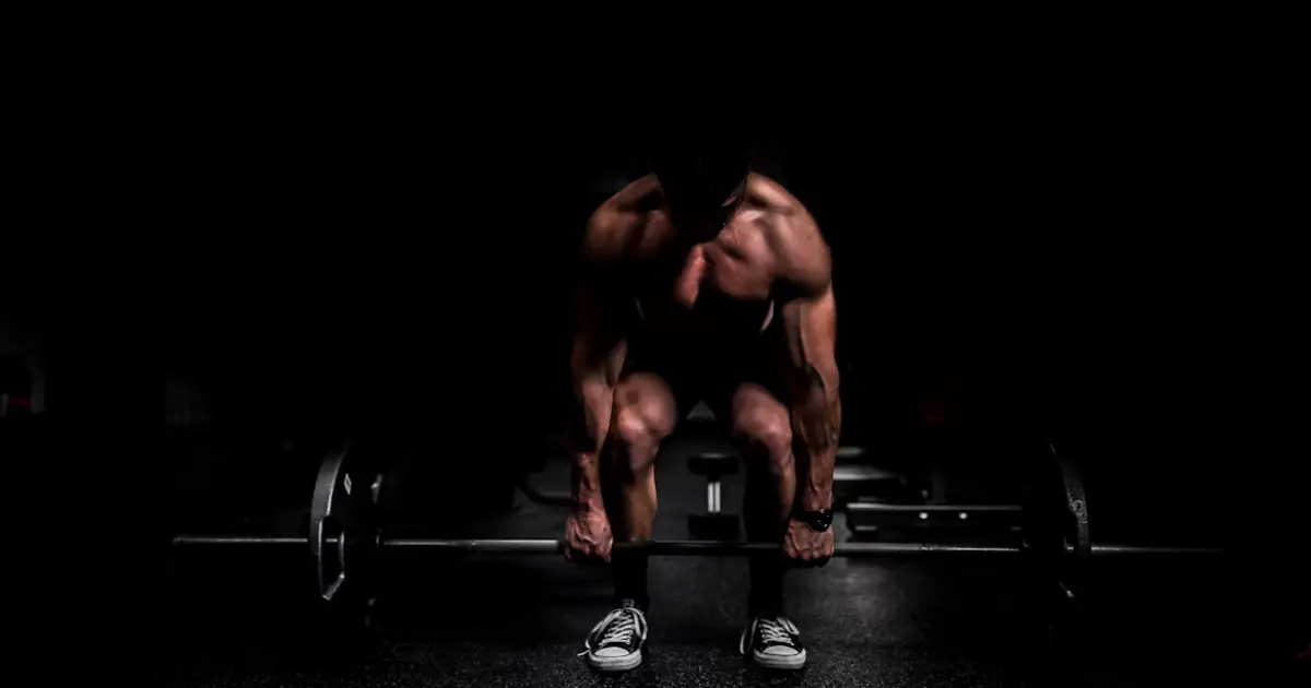 Pull Day Workout: A Complete Back and Biceps Routine