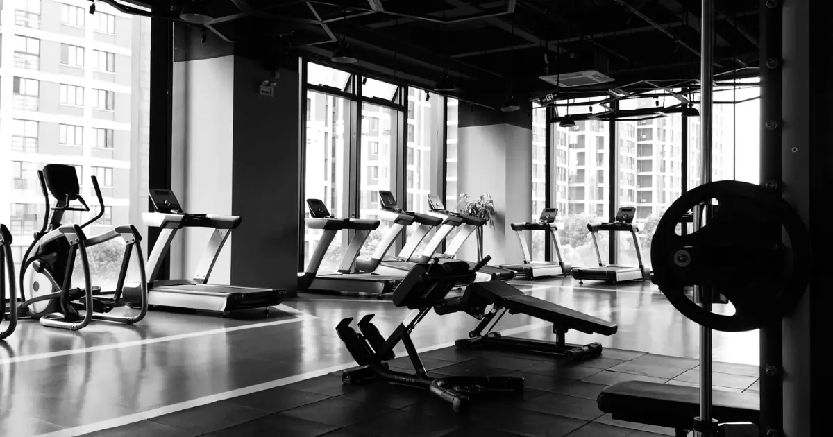 3-Day Workout Split: Full Body, PPL, or Something Else?