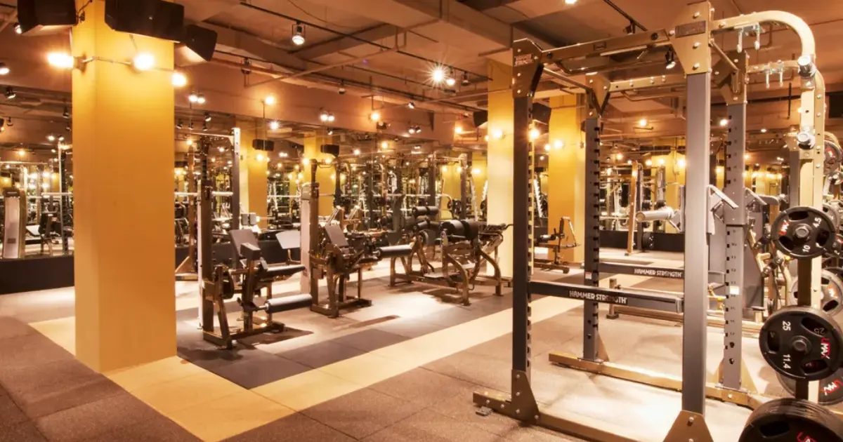 Back to the Gym Workout Plan After a Long Break