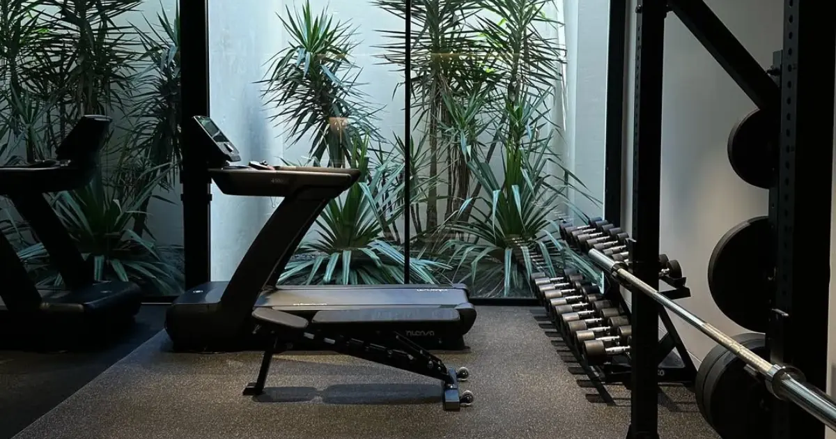 Dumbbell-Only Workout Plan: Train Your Entire Body With One Simple Tool